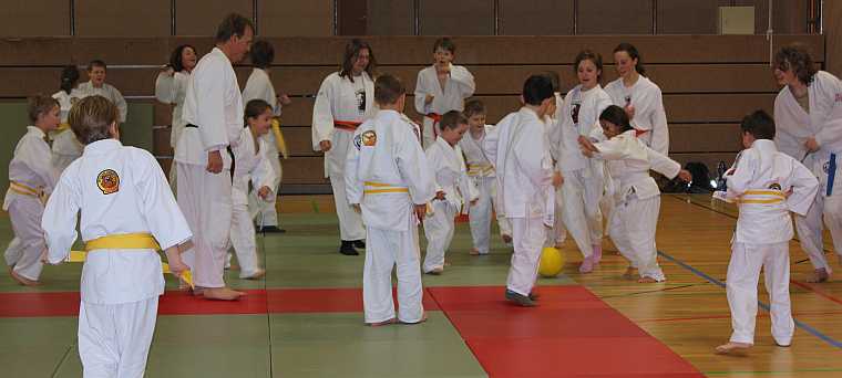 Judo Spiele